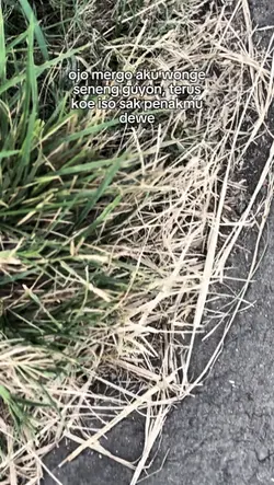 kata kata viral tt
