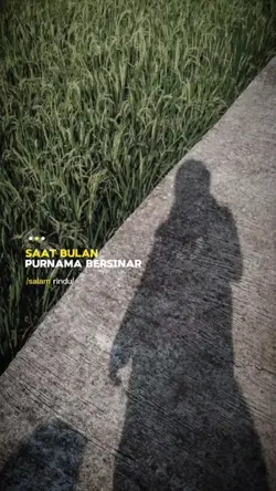 saat bulan purnama
