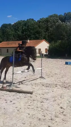 Ralenti fluide