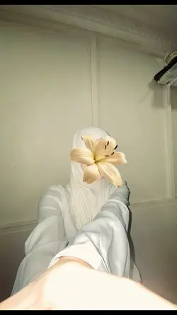nasheed 
