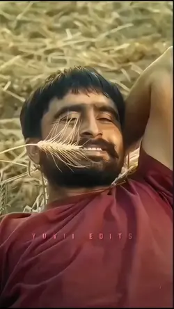 Mr Pattlo