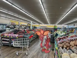 shopping kart meme