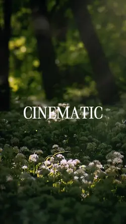 CINEMATIC