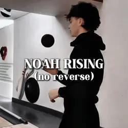 noah no reverse