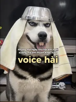 ngày đầu tiên thì