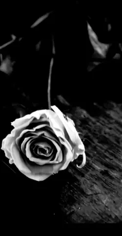 luchare