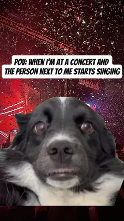 when I am at concert