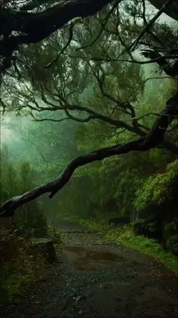 Nature • Cinematic
