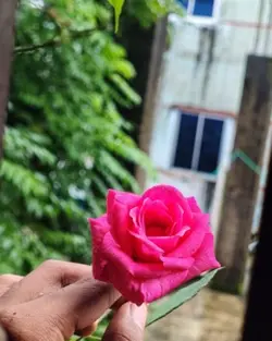 মন মাঝি খবরদার
