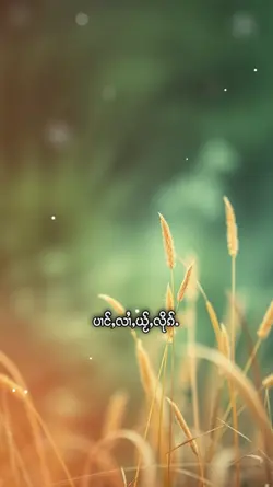 ၸၢႆးသႅၼ်ꩡိူင်း
