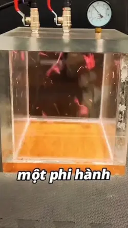 Review Phim