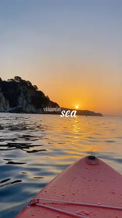 vitamin sea