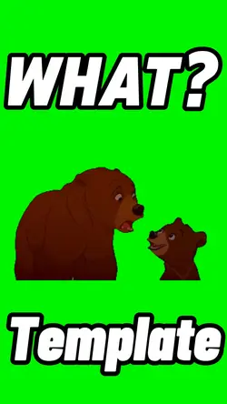 What? 