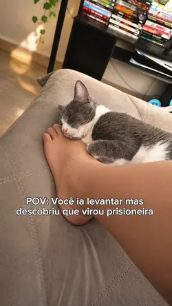 cat cutr