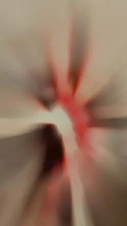 🫂✋🏾🫀