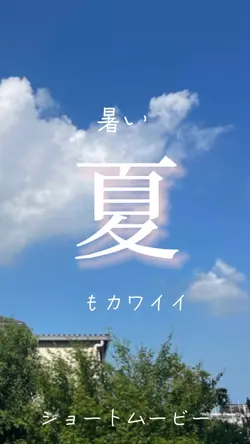 推しと過ごす夏【愛犬や子供にも】