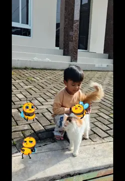 3 lebah joget