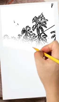 sketch transisi