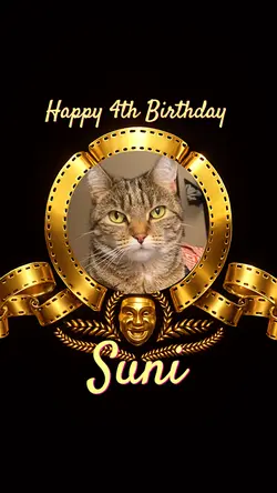 Suni Birthday Girl 🐱