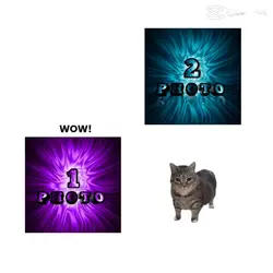 Trending Templates