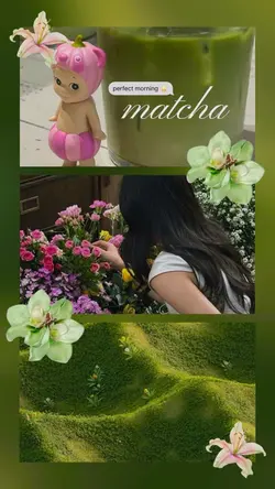 matcha