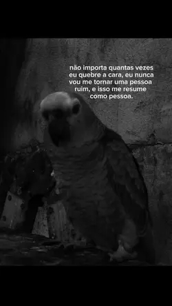 isso me resume