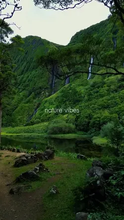 Nature vibes