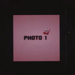 Cub