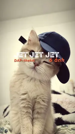 DAP-thehai