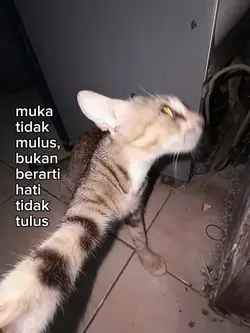 muka tidak mulus 