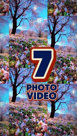 7 video or photo 