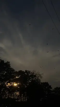 Count Me Out Intro