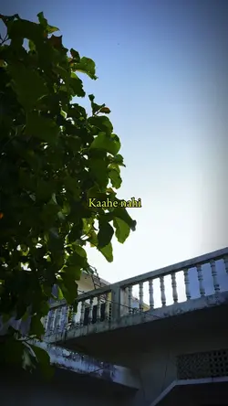 Mitwaa