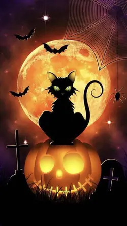 mẫu 16ảnh🎃 