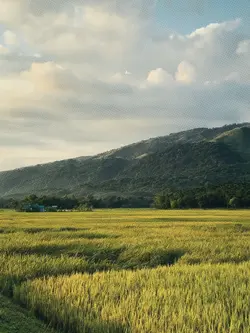 new slowmo 2026 