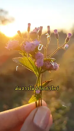 ปีใหม่