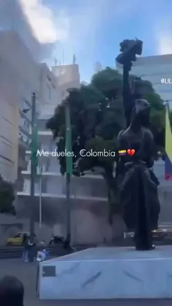 Fuerza Colombia 
