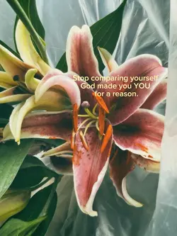 Be urself 