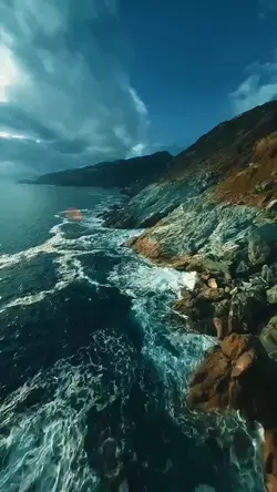 17 videos or photos 