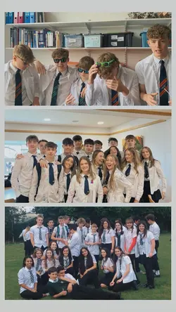 School Collage