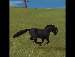 Star stable😍🥹