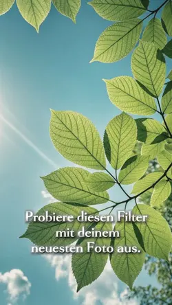 Probier das mal aus.