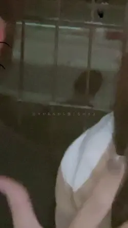 笑顔