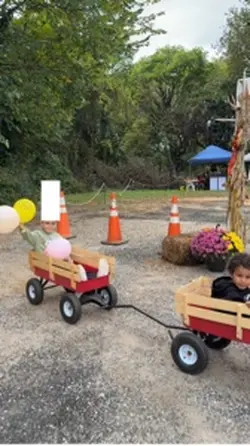Fall Festiva