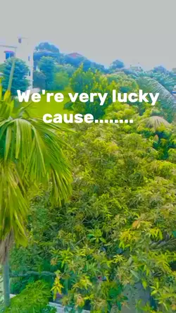 We're lucky c mks 