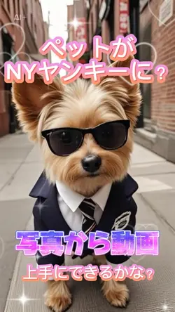写真１枚🐶️動画になります