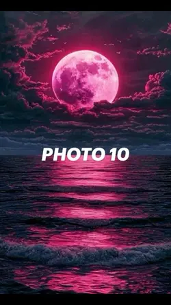 2026 templat
