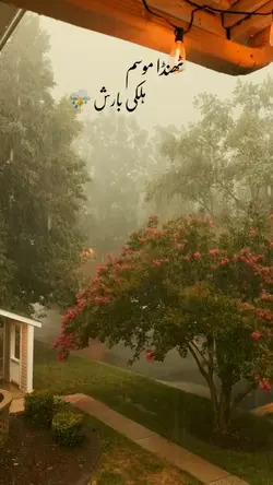 Rainy days trending 
