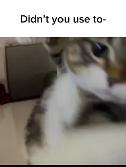 Cat punch Template