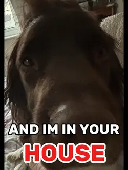 I’m in ur house :)